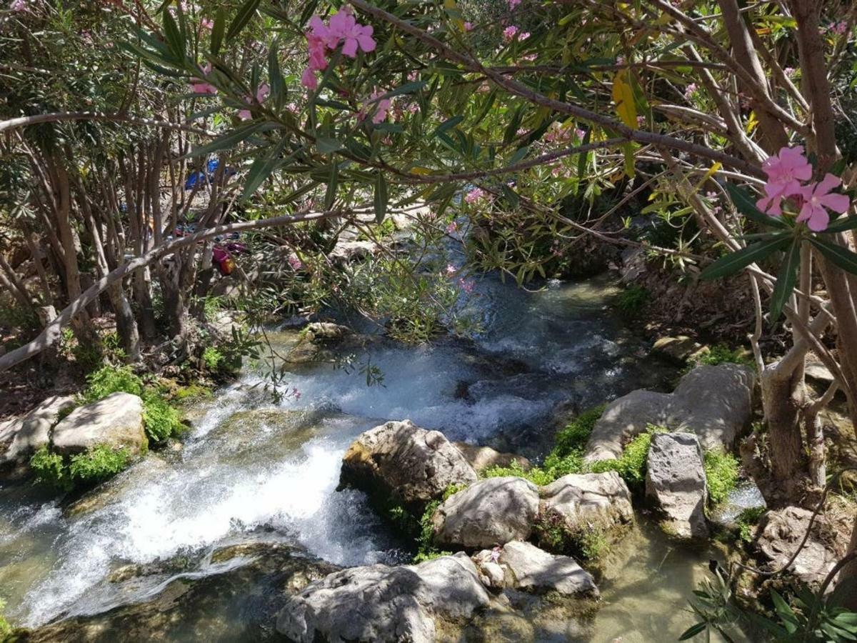 Residential Jardin Del Pintor - La Casa Amarilla Διαμέρισμα Jacarilla Εξωτερικό φωτογραφία