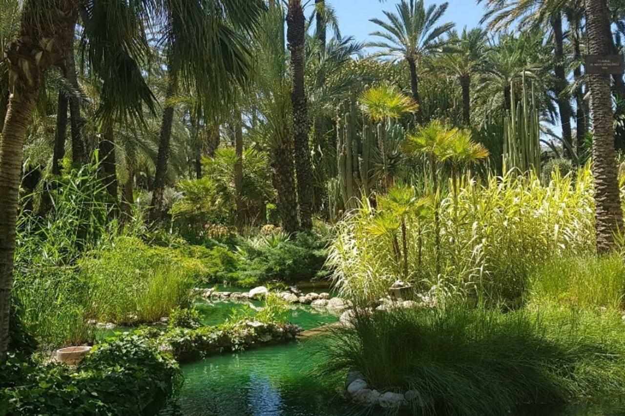 Residential Jardin Del Pintor - La Casa Amarilla Διαμέρισμα Jacarilla Εξωτερικό φωτογραφία